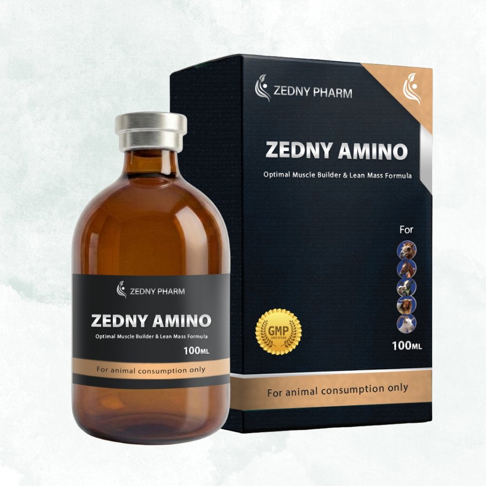 ZEDNY AMINO  – 100ML