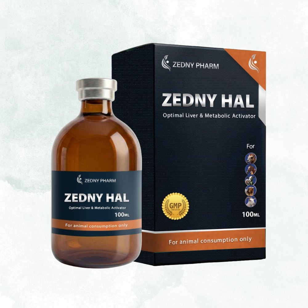 ZEDNY HAL – 100ML