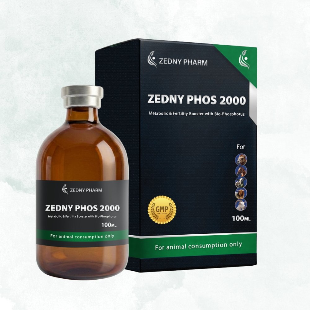 ZEDNY PHOS 2000 – 100ML