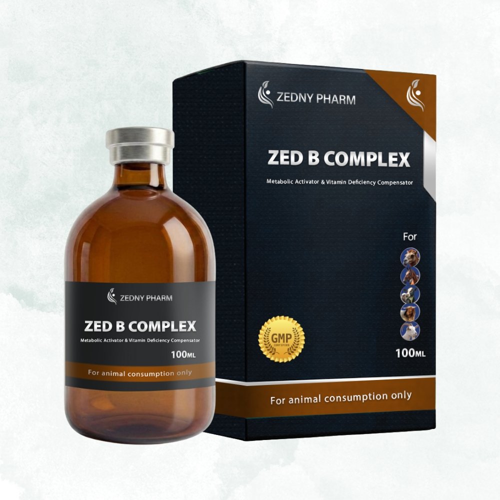 ZED B COMPLEX – 100ML